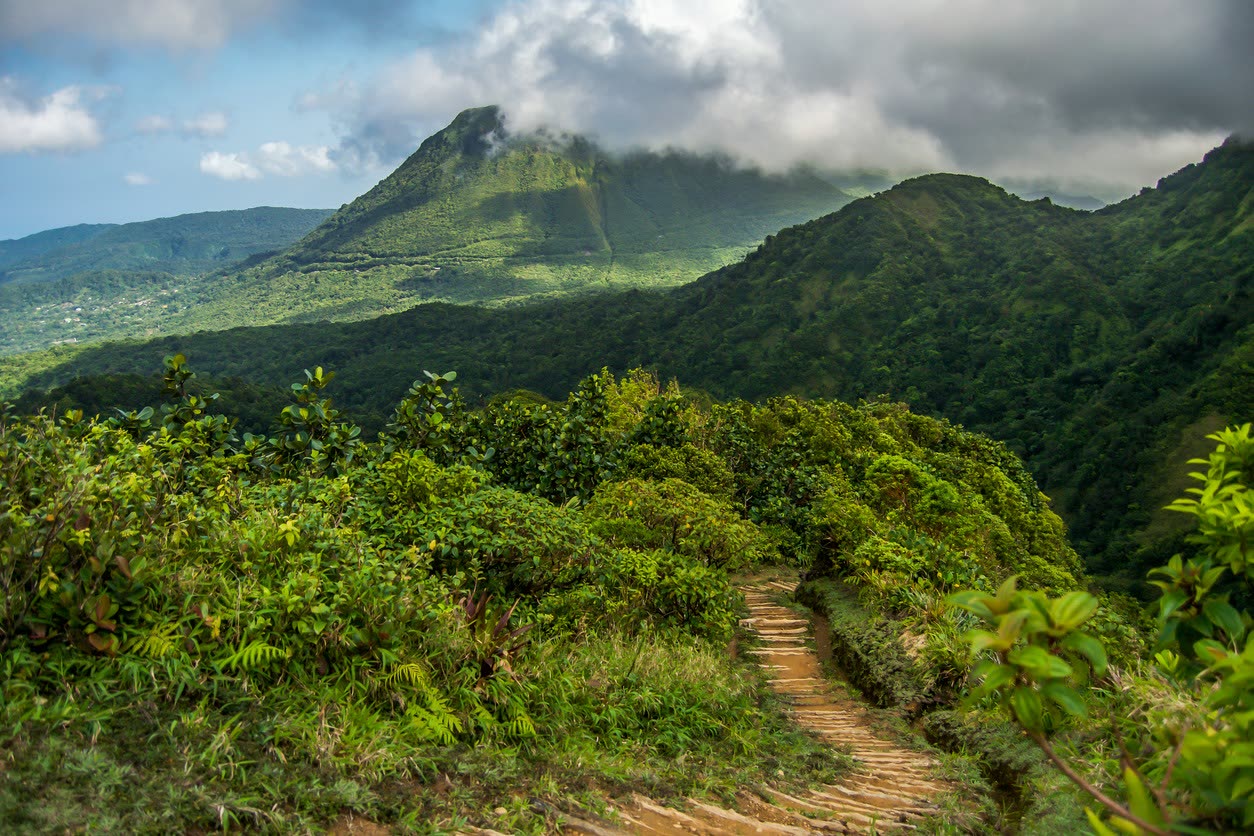 A stone trail winding through Dominica's lush rainforest toward a cloud-capped volcanic peak
