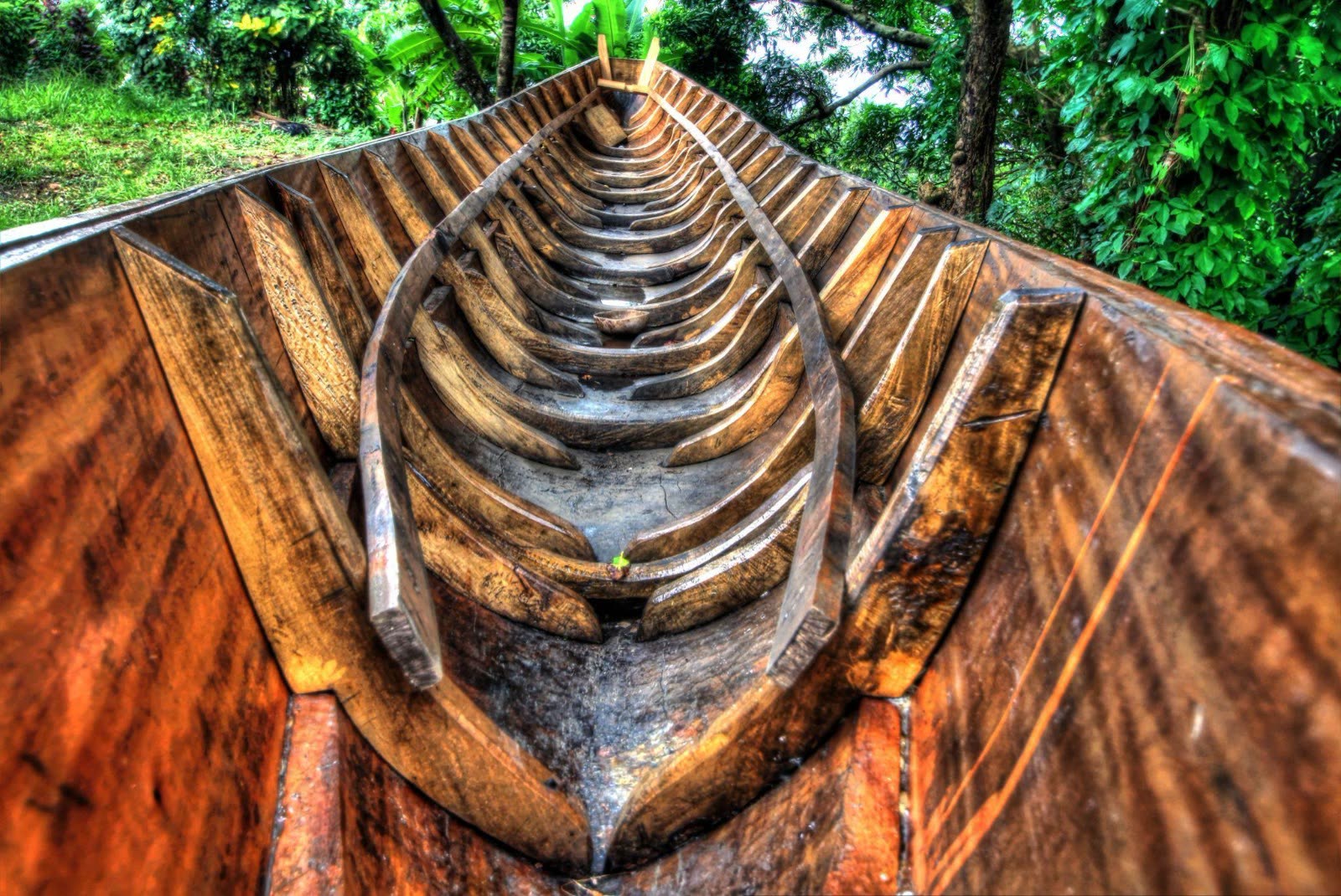 Gommier canoes