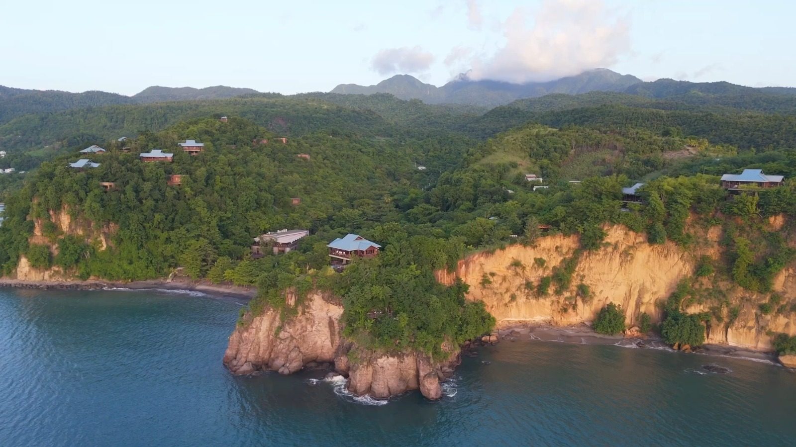 Jungle Bay