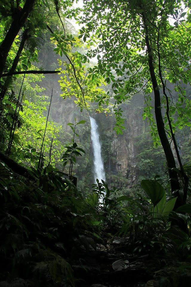 Eastern Dominica