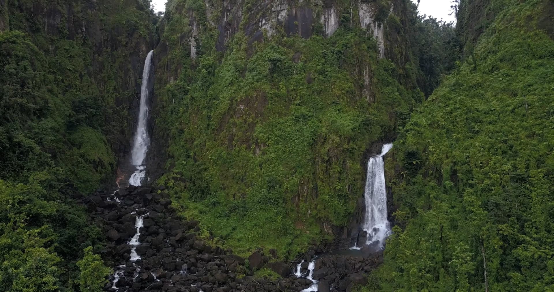 Trafalgar Falls plunging into the rainforest