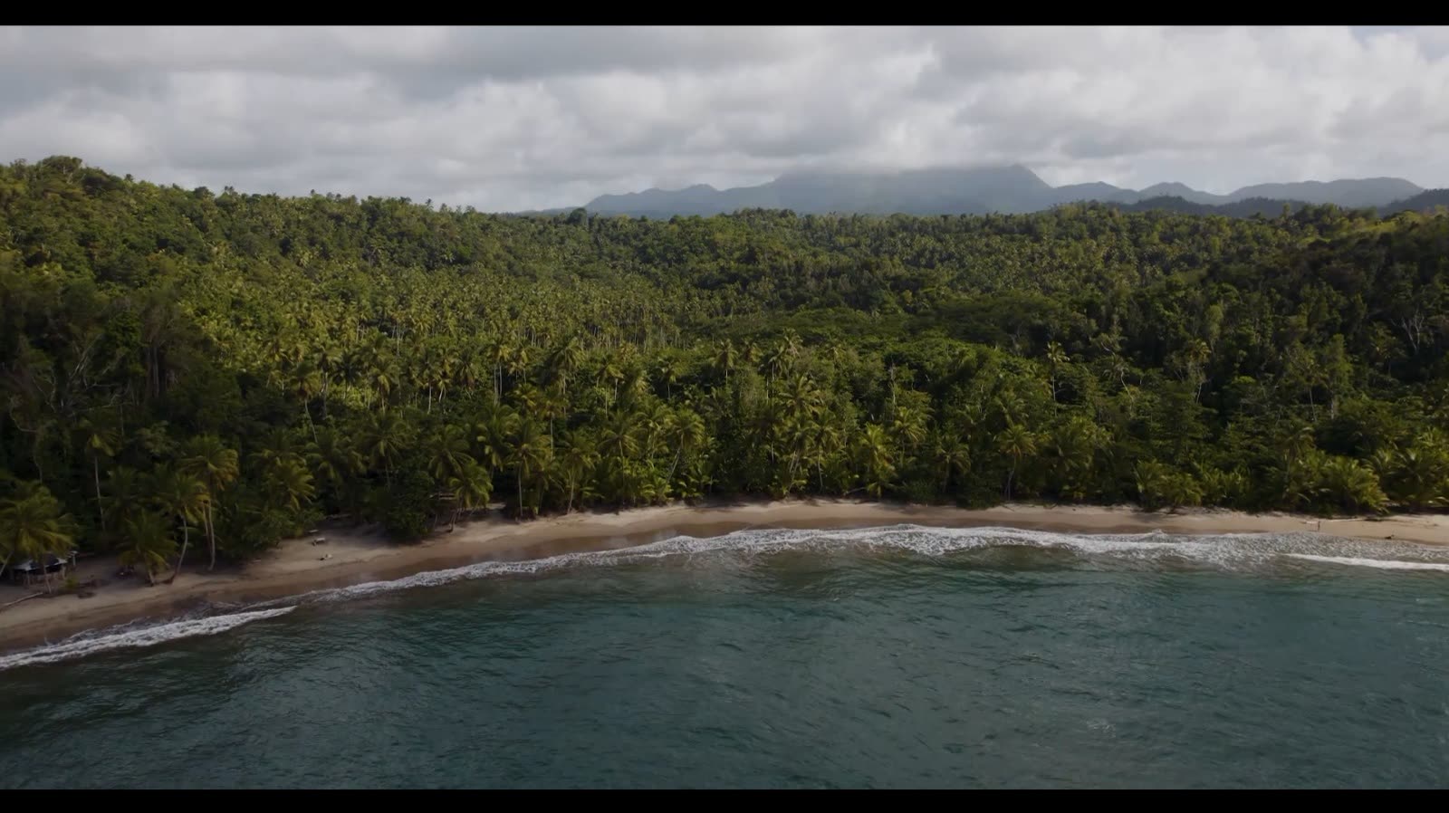 Aerial view of a palm-fringed beach where rainforest meets the Atlantic in the Kalinago Territory