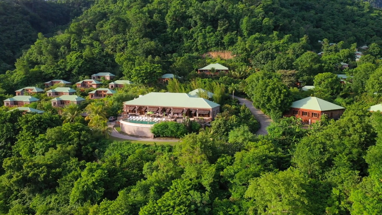 Jungle Bay