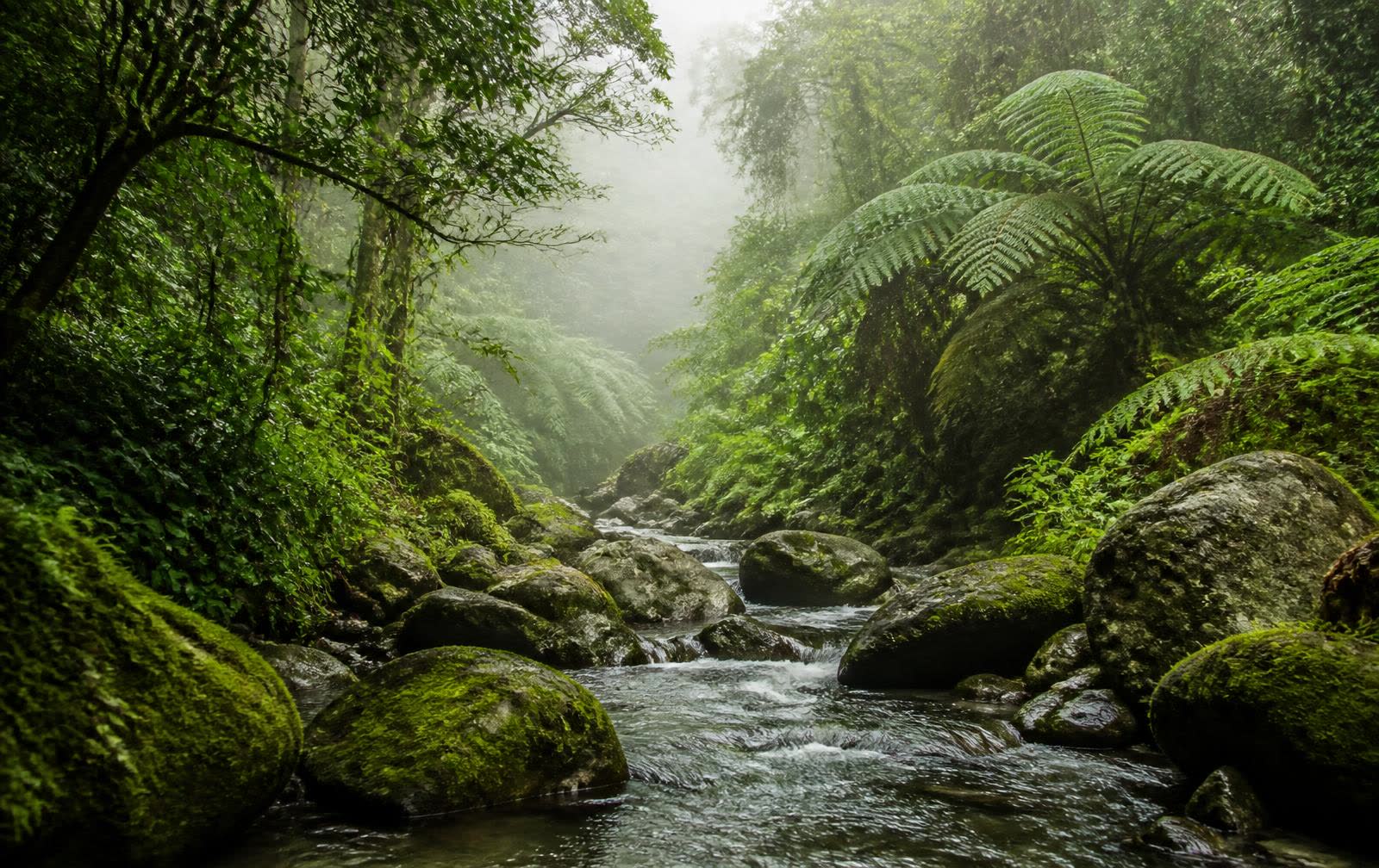Crayfish River